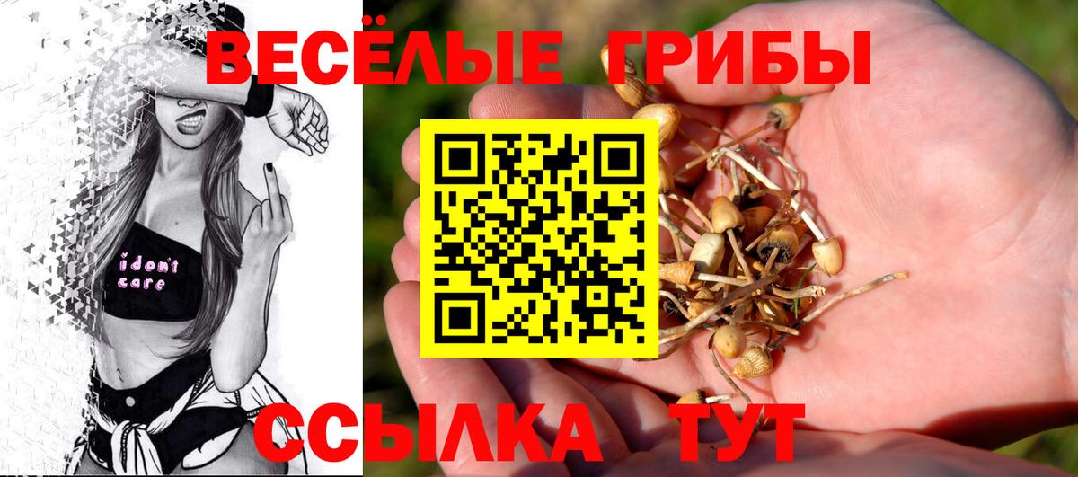 Галлюциногенные грибы ЛСД  Вход с VPN  Калининград 