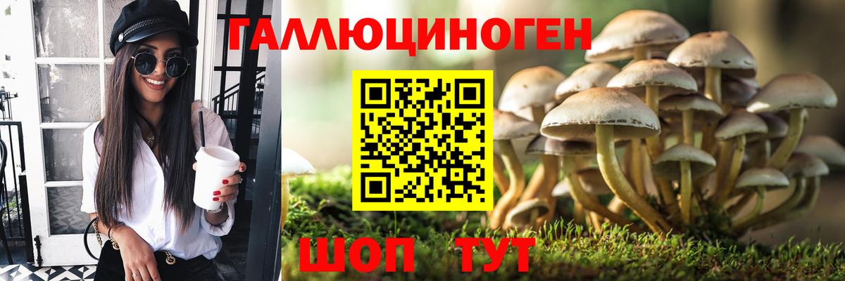 Галлюциногенные грибы Cubensis Калининград